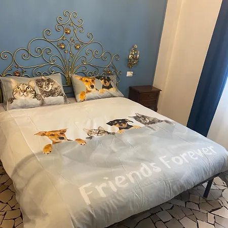 Guest house Clementina 3*