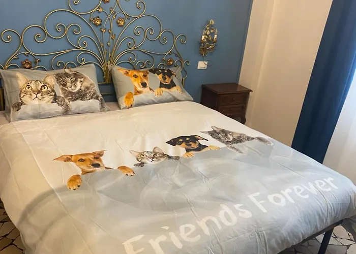 בית הארחה Clementina 3*